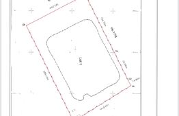 Teren de vânzare, zona Balta Blonda, 41235mp