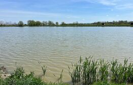 Teren de vânzare, zona Balta Blonda, 41235mp