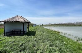 Teren de vânzare, zona Balta Blonda, 41235mp