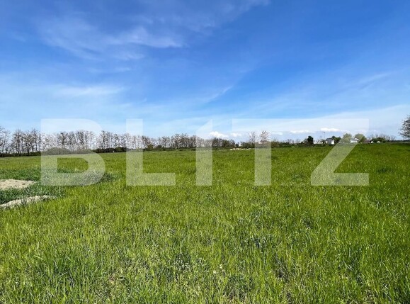 Teren de vânzare Periferie - 114992TV | BLITZ Satu Mare | Poza3