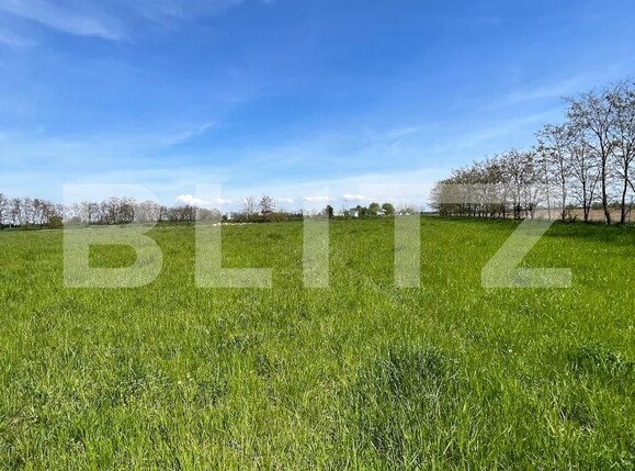 Teren de vânzare Periferie - 114992TV | BLITZ Satu Mare | Poza4
