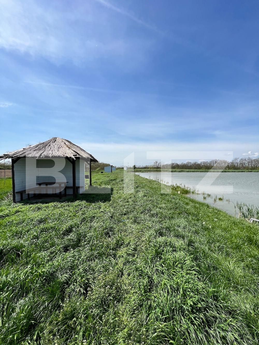 Teren de vânzare Periferie - 114992TV | BLITZ Satu Mare | Poza2