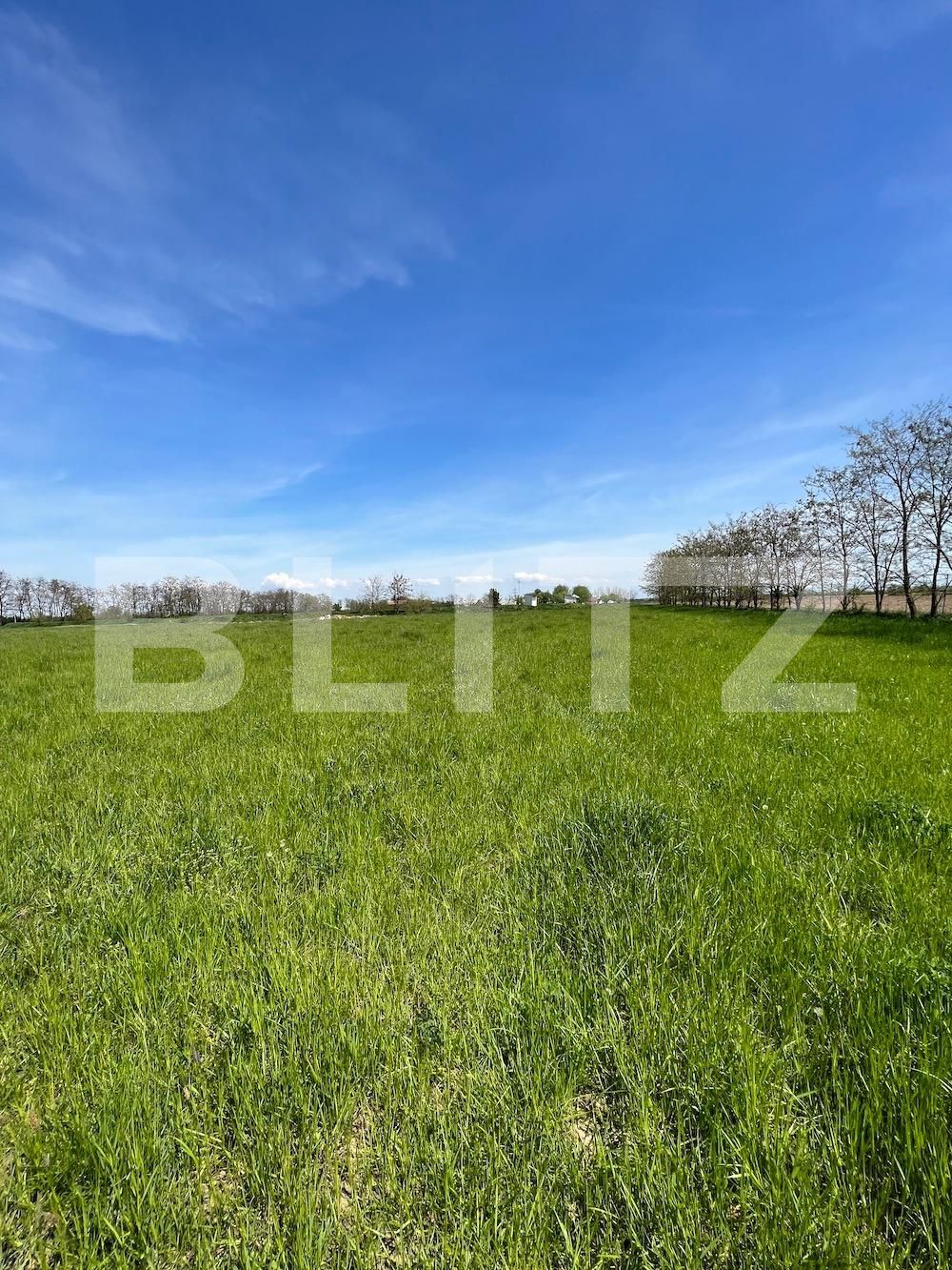 Teren de vânzare Periferie - 114992TV | BLITZ Satu Mare | Poza4