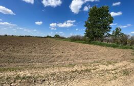 Teren 700mp, zona strada Careiului