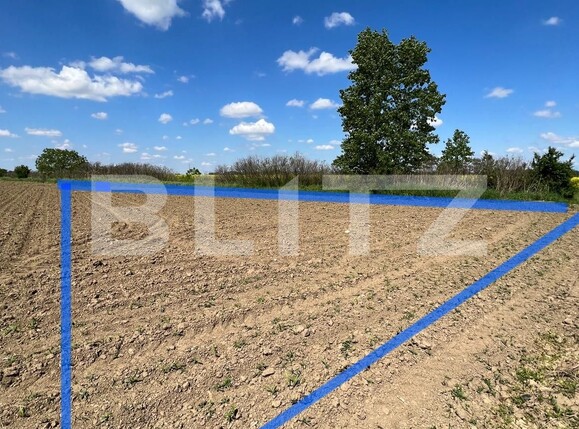 Teren de vânzare Vest - 115556TV | BLITZ Satu Mare | Poza2