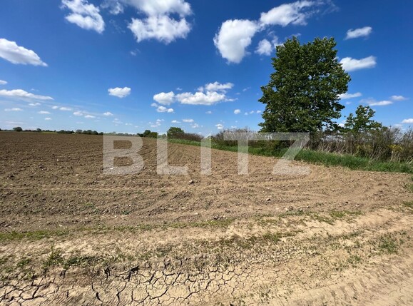 Teren de vânzare Vest - 115556TV | BLITZ Satu Mare | Poza1