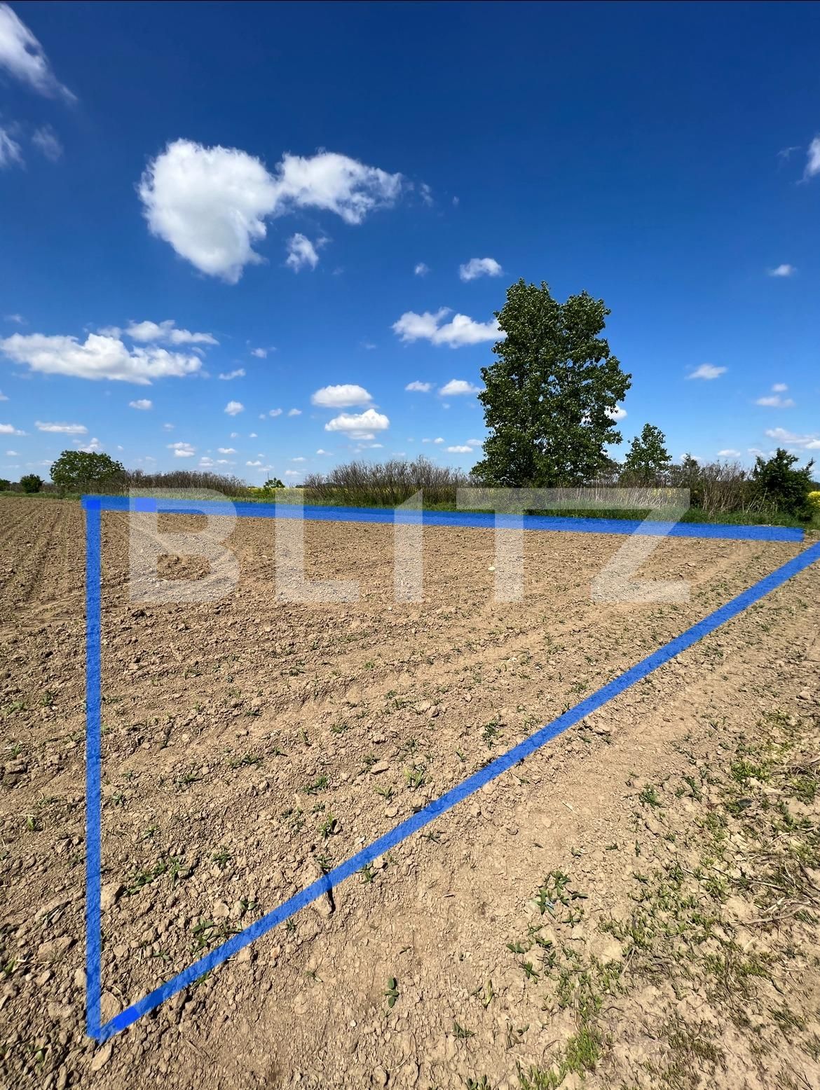 Teren de vânzare Vest - 115556TV | BLITZ Satu Mare | Poza2