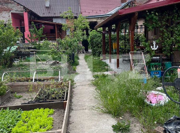 Spațiu birouri de închiriat Central - 115607SIB | BLITZ Satu Mare | Poza12