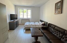 Apartament cu 1 camera, 26 mp, central