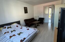 Apartament cu 1 camera, 26 mp, central