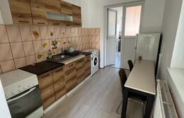 Apartament cu 1 camera, 26 mp, central