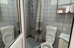 Apartament cu 1 camera, 26 mp, central