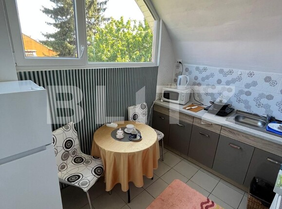 Casa de închiriat 1 camera Central - 115678CI | BLITZ Satu Mare | Poza3