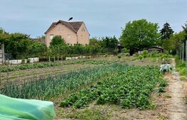 Apartament superb, renovat, semi central 2 dormitoare, sufragerie și bucătărie open-space