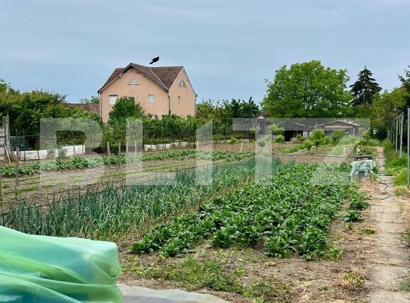 Apartament de vânzare 3 camere Semicentral - 116026AV | BLITZ Satu Mare | Poza7