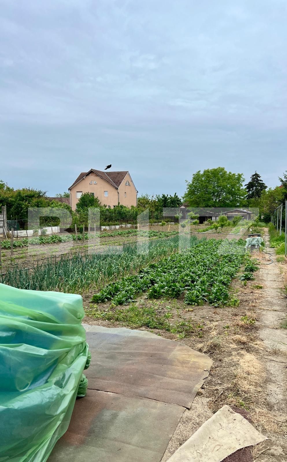 Apartament de vânzare 3 camere Semicentral - 116026AV | BLITZ Satu Mare | Poza7