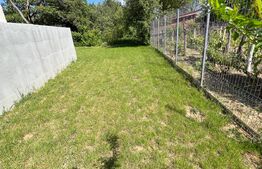 Apartament, zona linisita, bloc cu acces din curte, Careiului, 