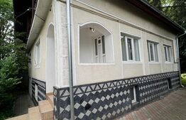 2 CASE, 300mp/700mp, teren 30 ari, zona strada Botizului