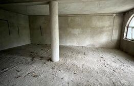 2 CASE, 300mp/700mp, teren 30 ari, zona strada Botizului