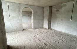 2 CASE, 300mp/700mp, teren 30 ari, zona strada Botizului