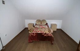 2 CASE, 300mp/700mp, teren 30 ari, zona strada Botizului