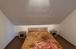 2 CASE, 300mp/700mp, teren 30 ari, zona strada Botizului