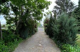 2 CASE, 300mp/700mp, teren 30 ari, zona strada Botizului