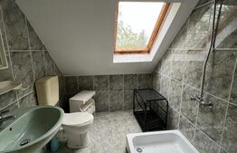 2 CASE, 300mp/700mp, teren 30 ari, zona strada Botizului