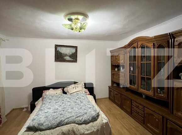 Casa de vânzare 13 camere Botizului - 116213CV | BLITZ Satu Mare | Poza11