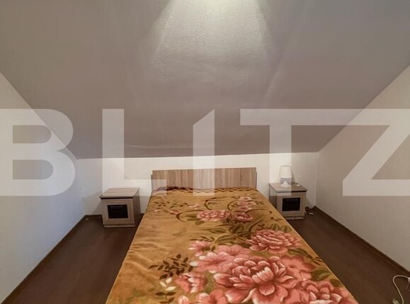 Casa de vânzare 13 camere Botizului - 116213CV | BLITZ Satu Mare | Poza14