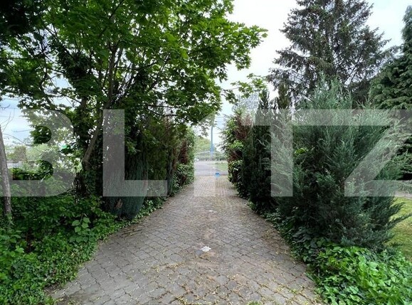 Casa de vânzare 13 camere Botizului - 116213CV | BLITZ Satu Mare | Poza3