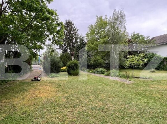 Casa de vânzare 13 camere Botizului - 116213CV | BLITZ Satu Mare | Poza6