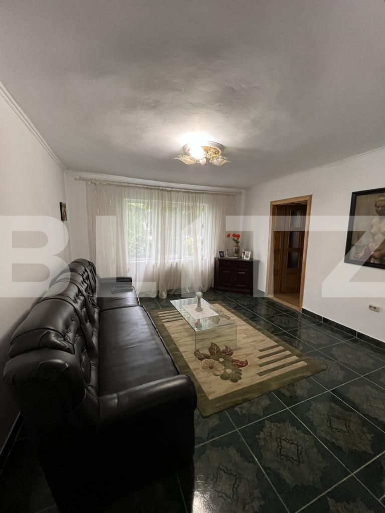 Casa de vânzare 13 camere Botizului - 116213CV | BLITZ Satu Mare | Poza7