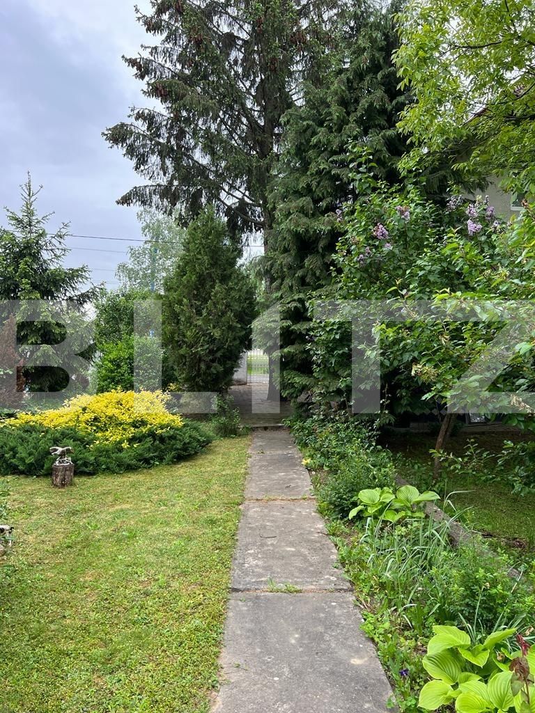 Casa de vânzare 13 camere Botizului - 116213CV | BLITZ Satu Mare | Poza4