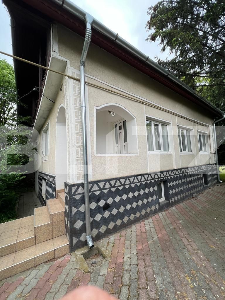 Casa de vânzare 13 camere Botizului - 116213CV | BLITZ Satu Mare | Poza2