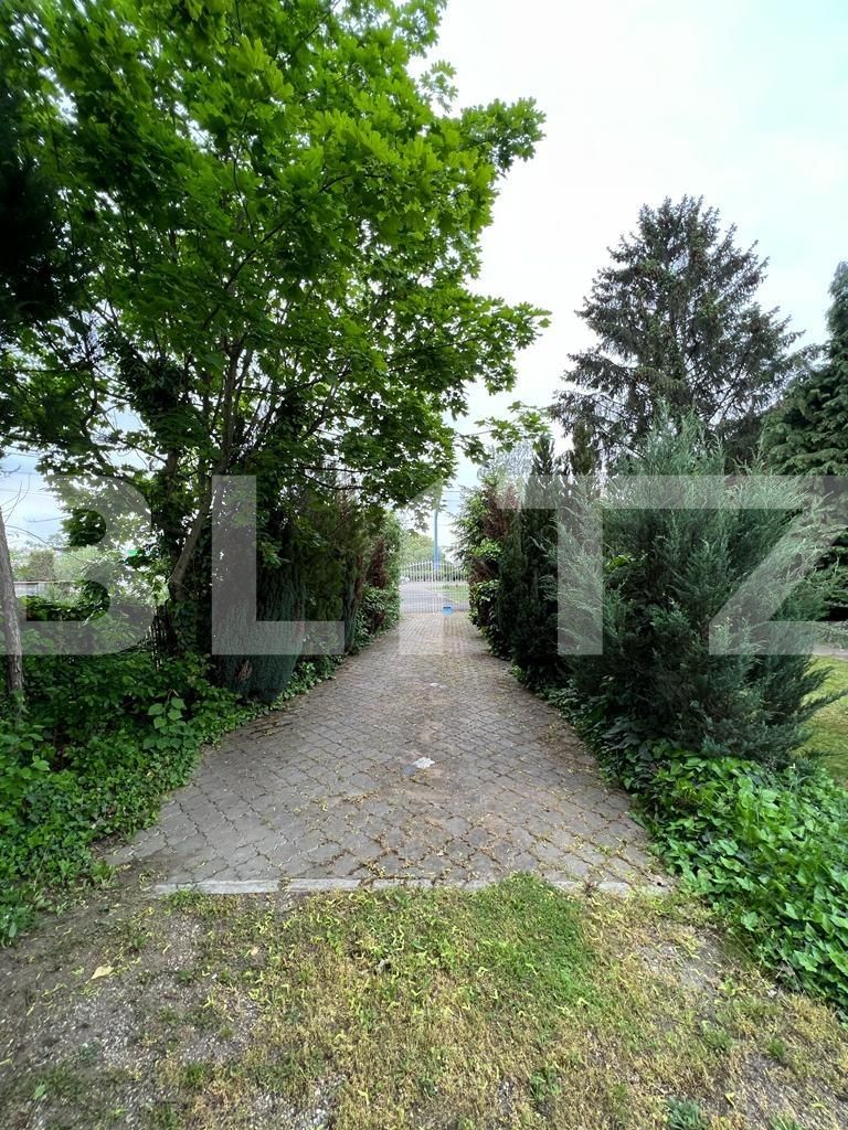 Casa de vânzare 13 camere Botizului - 116213CV | BLITZ Satu Mare | Poza3