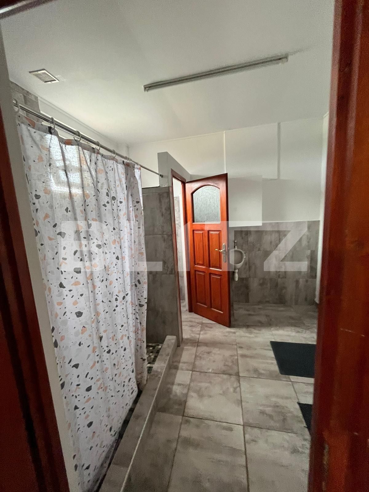 Spațiu comercial de închiriat Botizului - 117171SIC | BLITZ Satu Mare | Poza3