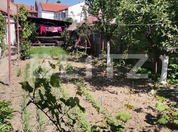 Casa de vânzare 2 camere Central - 117219CV | BLITZ Satu Mare | Poza3