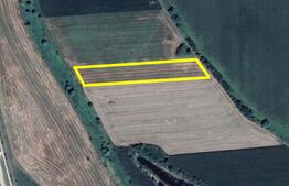 Teren agricol de vânzare în zona Careiului