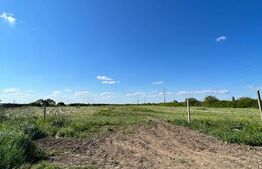 Parcele de 500/600/700 mp la marginea orasului