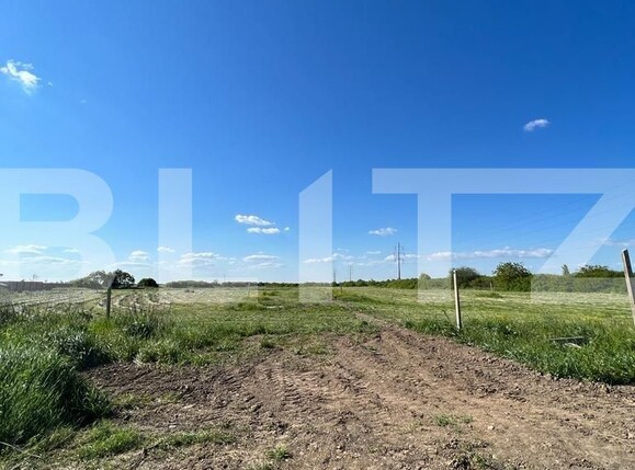 Teren de vânzare Periferie - 117378TV | BLITZ Satu Mare | Poza1
