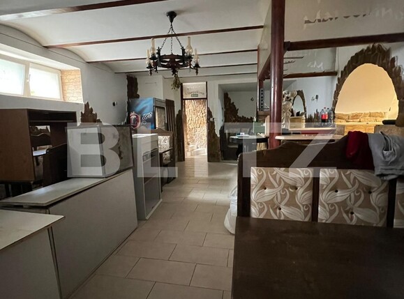 Spațiu comercial de închiriat Central - 117518SIC | BLITZ Satu Mare | Poza4