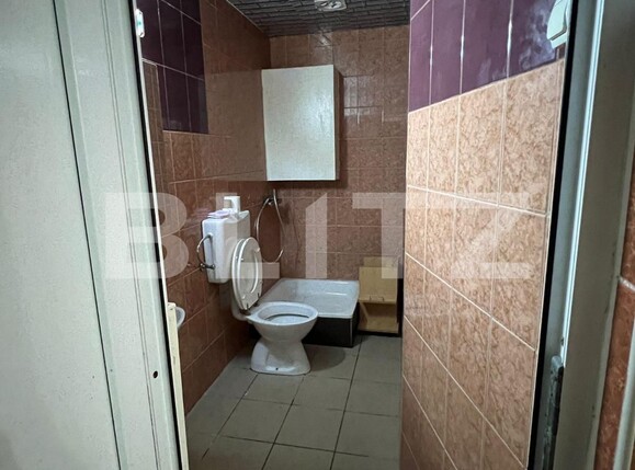 Spațiu comercial de închiriat Central - 117518SIC | BLITZ Satu Mare | Poza6