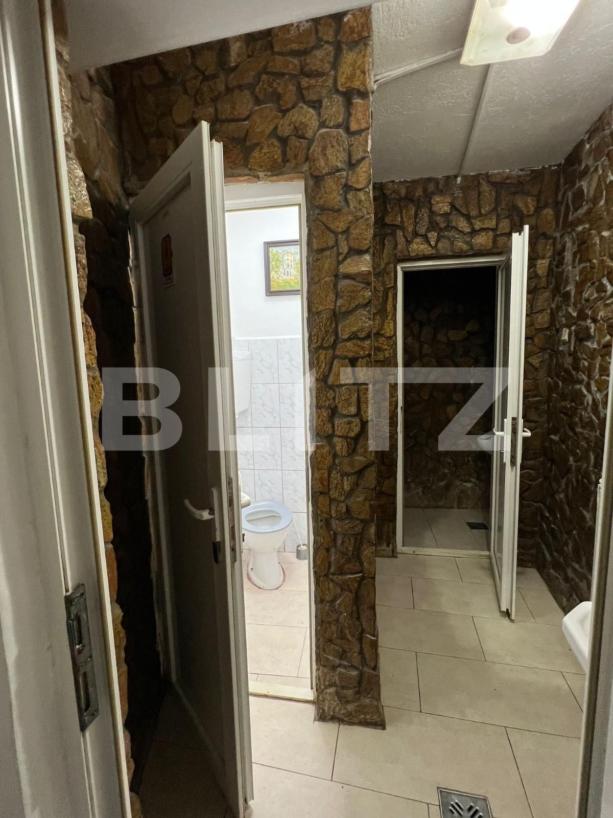 Spațiu comercial de închiriat Central - 117518SIC | BLITZ Satu Mare | Poza5