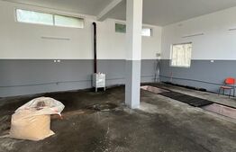 Spatiu comercial, service auto. 274 mp