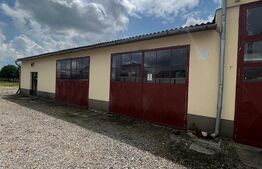 Spatiu comercial, service auto. 274 mp