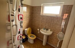 Spatiu comercial, service auto. 274 mp