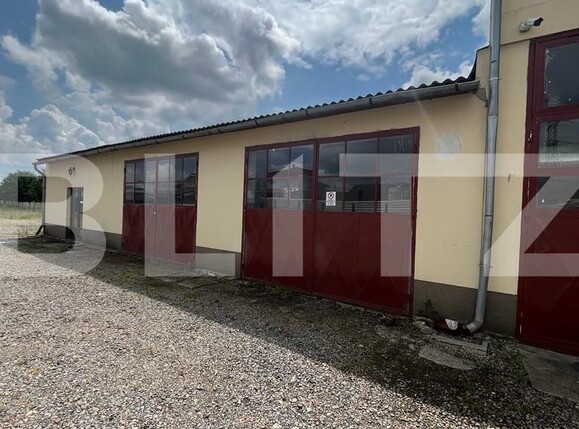 Spațiu comercial de închiriat Lucian Blaga - 118264SIC | BLITZ Satu Mare | Poza4
