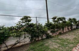 Casa P+1E, 200 mp, teren 750 mp, zona Balta Blonda 