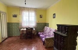 Casa P+1E, 200 mp, teren 750 mp, zona Balta Blonda 